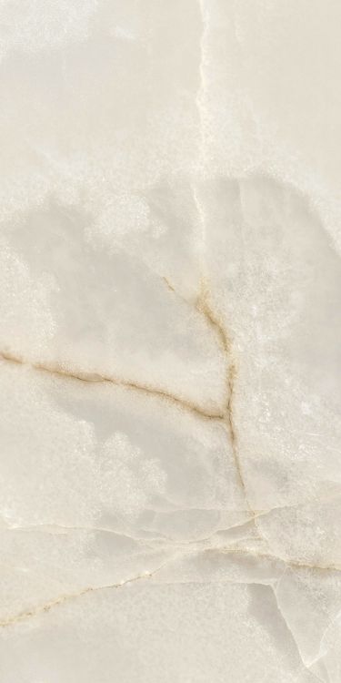 Reves Perle Matte 12 x 24